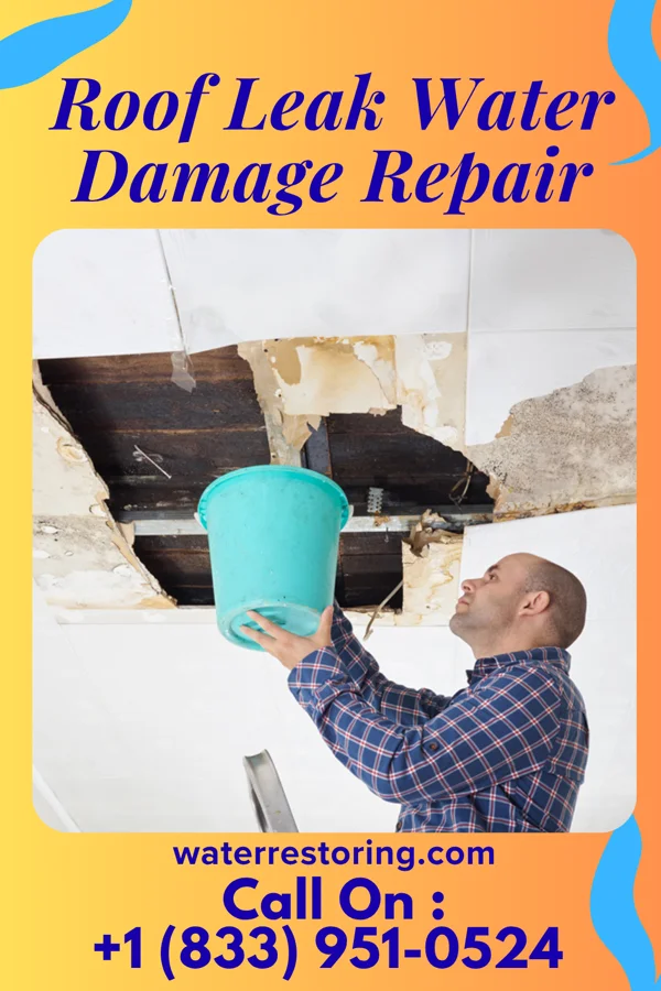 Roof Leak Water Damage Repair in Pine Lake, AZ